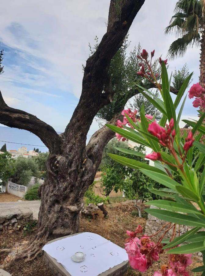 Apartman Veliki Pijesak Dobra Voda Dış mekan fotoğraf