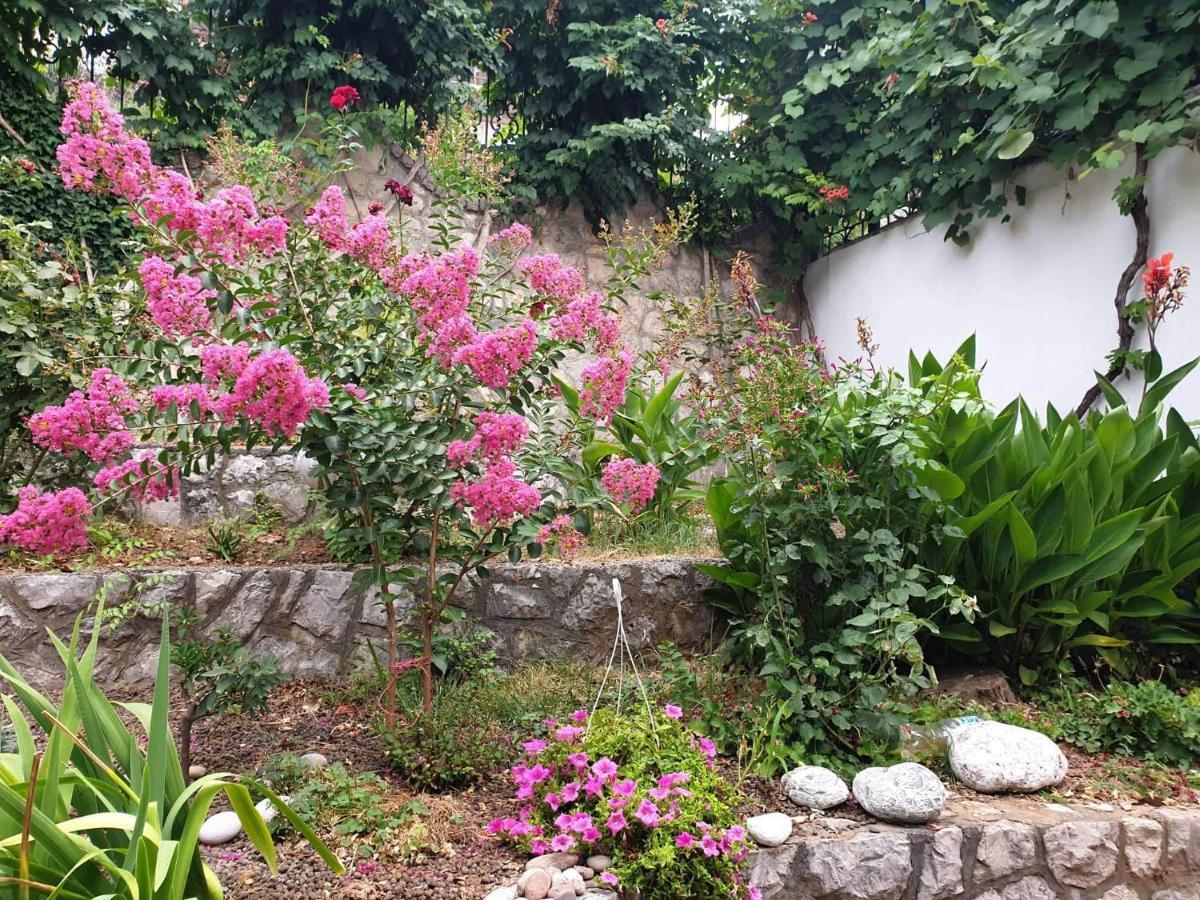 Apartman Veliki Pijesak Dobra Voda Dış mekan fotoğraf